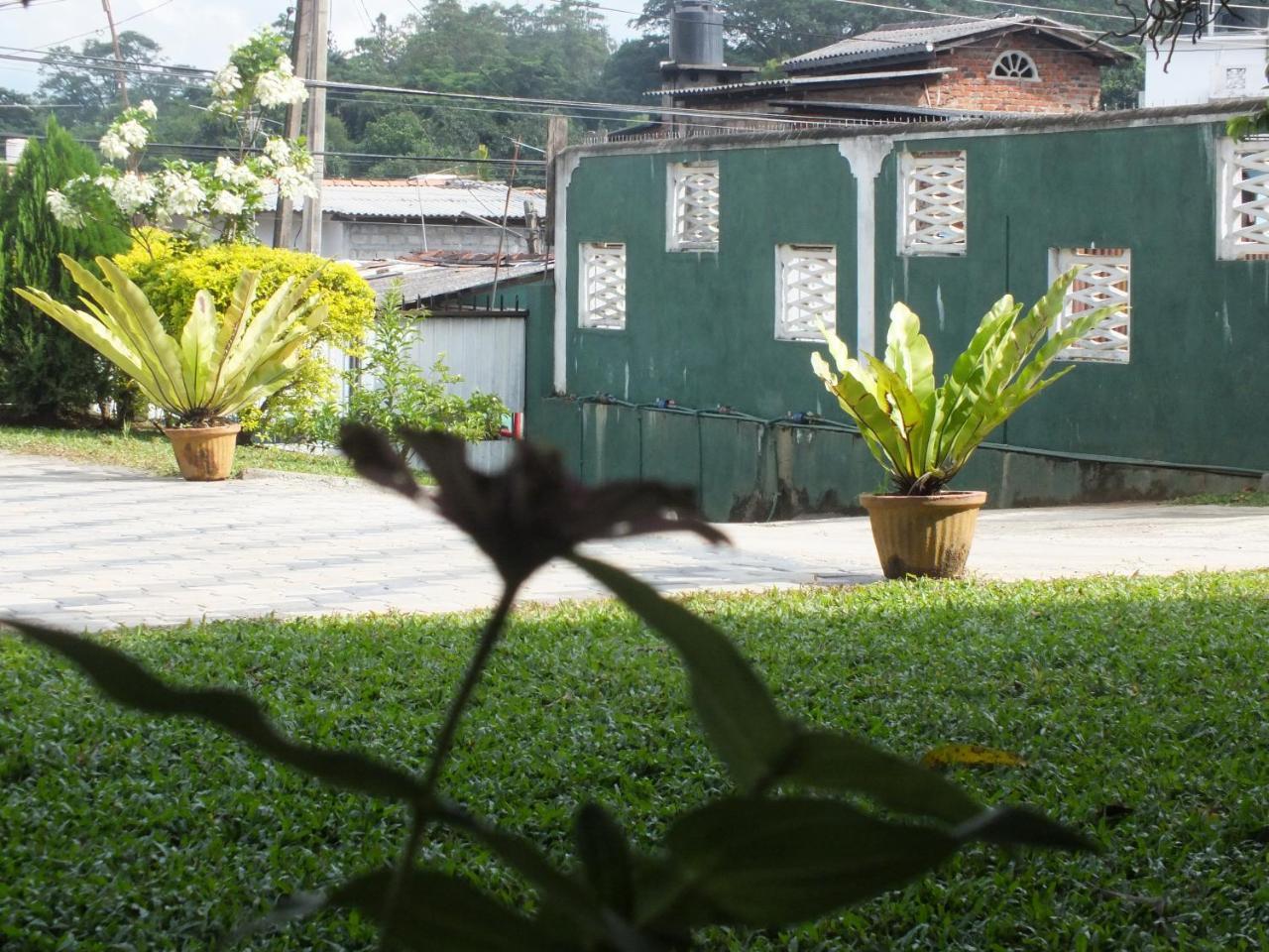 Hillsview Rest & Guest House Matale Exterior photo
